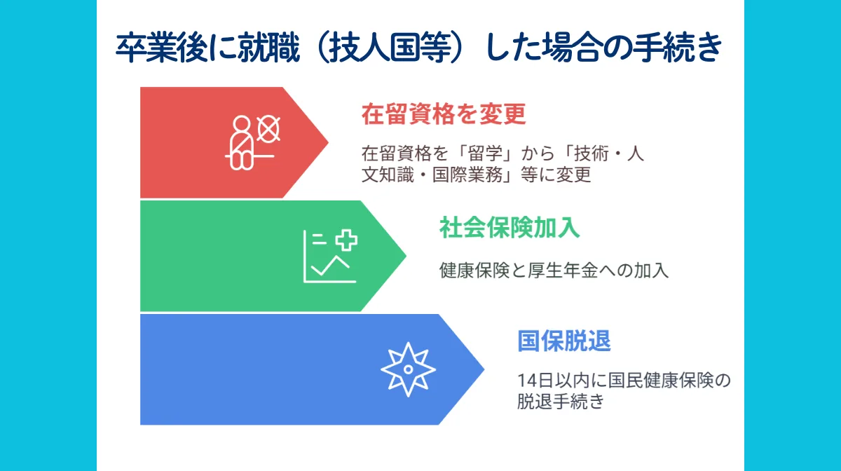 卒業後の就職(技人国等)では正社員同様の保険義務
