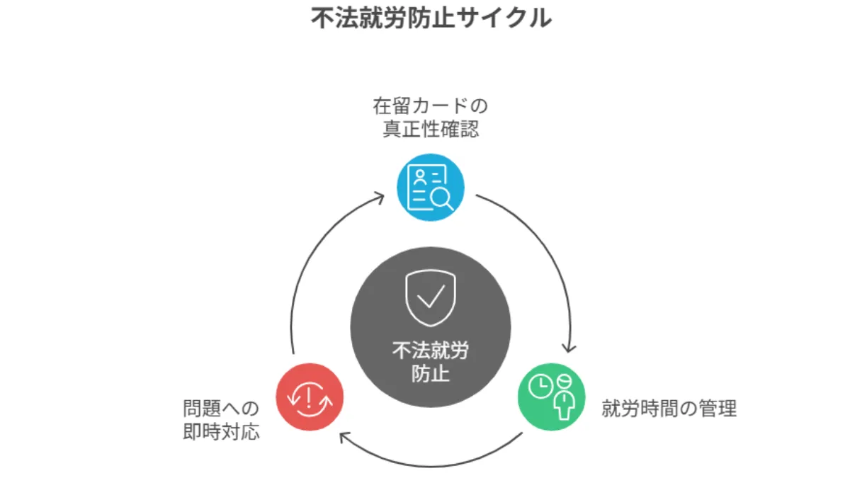 不法就労防止サイクル