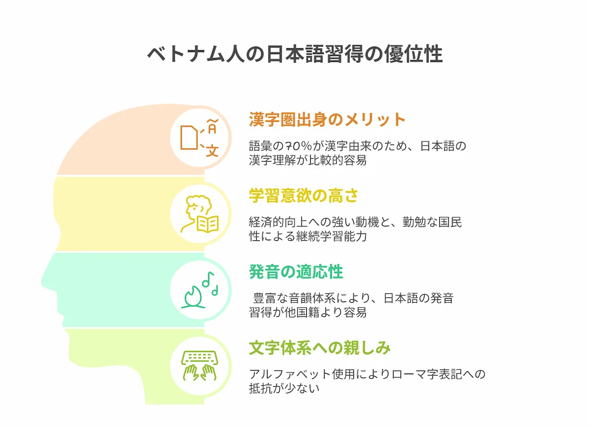 メリット：言語習得の速さと英語対応力