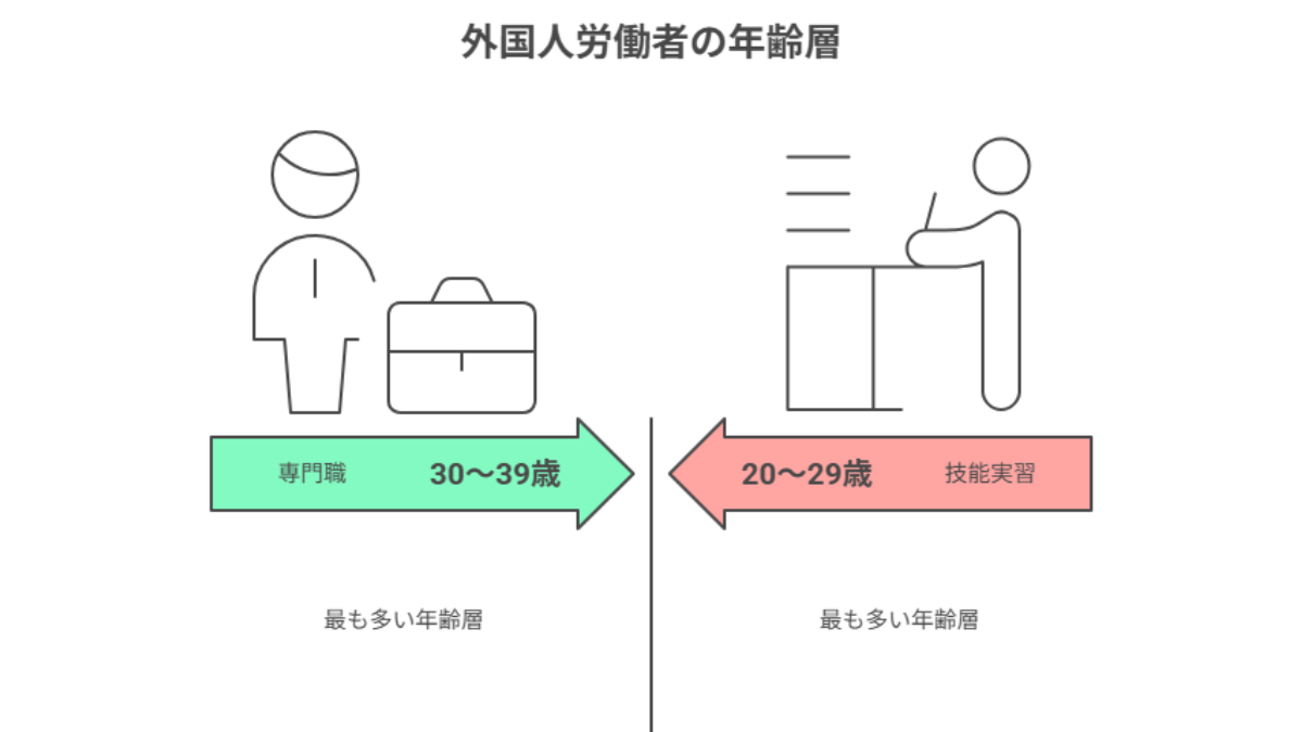 外国人労働者の年齢層