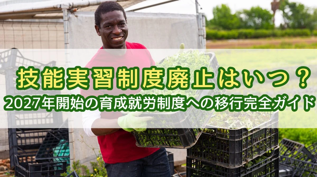 技能実習制度廃止はいつ？2027年開始の育成就労制度移行ガイドの画像