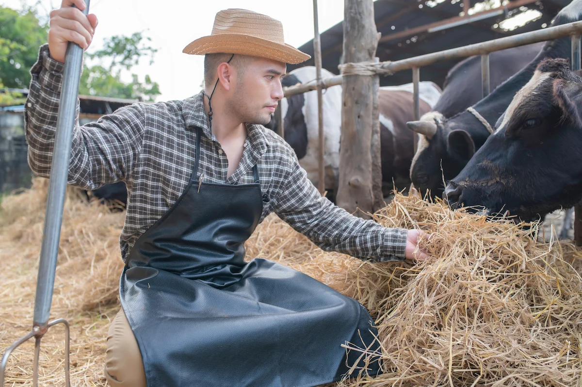 ケーススタディ：優良送り出し機関選定の成功事例