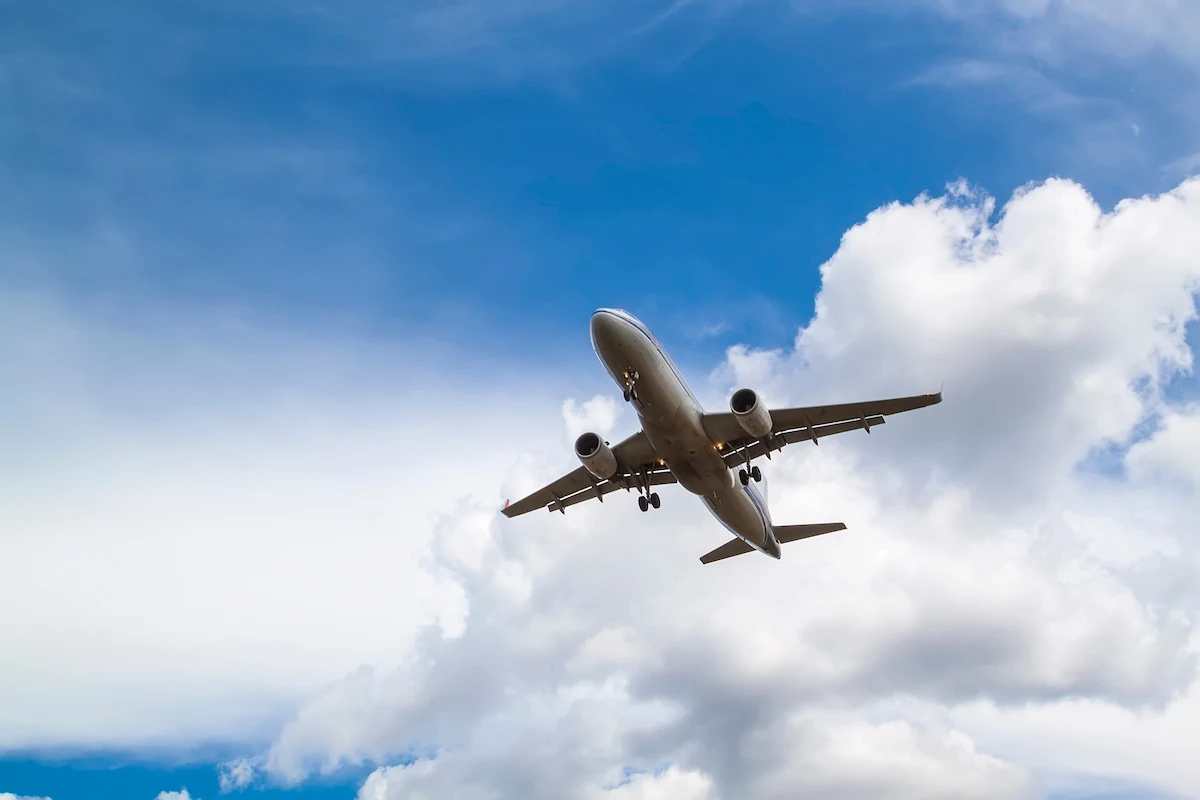 2．スリランカ人が取得できる日本の就労ビザは主に2種類