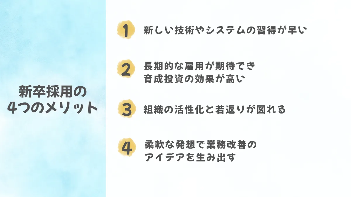 新卒採用の4つのメリット