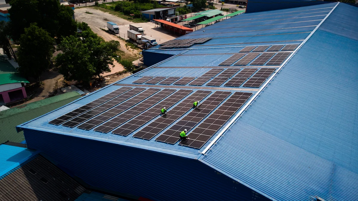 技能実習から育成就労制度への移行と今後の展望