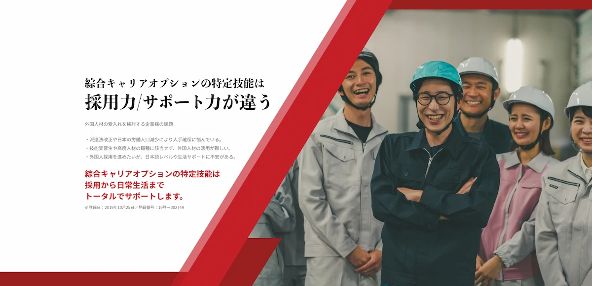 綜合キャリアオプション